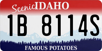 ID license plate 1B8114S