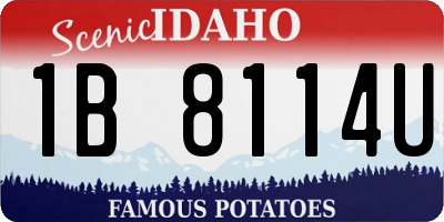 ID license plate 1B8114U