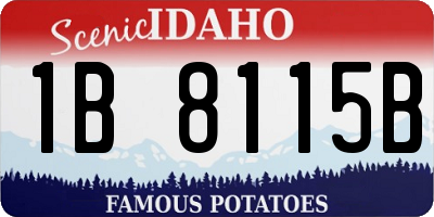 ID license plate 1B8115B