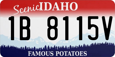 ID license plate 1B8115V