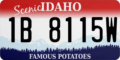 ID license plate 1B8115W