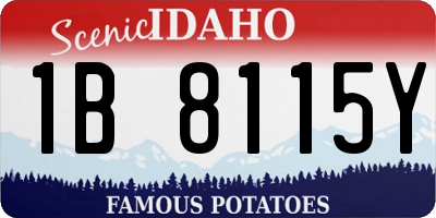 ID license plate 1B8115Y