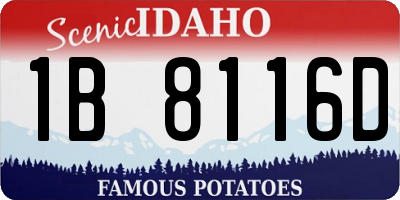 ID license plate 1B8116D