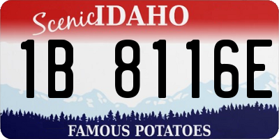 ID license plate 1B8116E