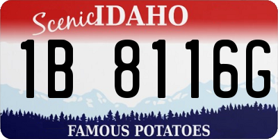 ID license plate 1B8116G