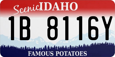 ID license plate 1B8116Y