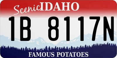 ID license plate 1B8117N
