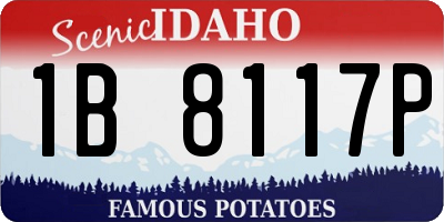 ID license plate 1B8117P