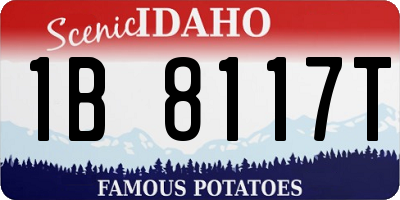 ID license plate 1B8117T