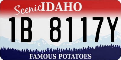 ID license plate 1B8117Y