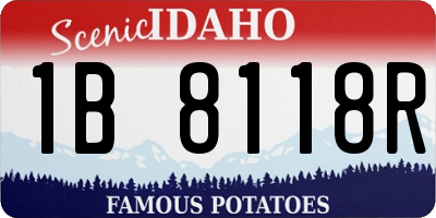 ID license plate 1B8118R