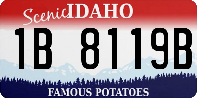 ID license plate 1B8119B