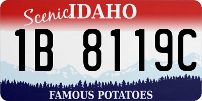ID license plate 1B8119C
