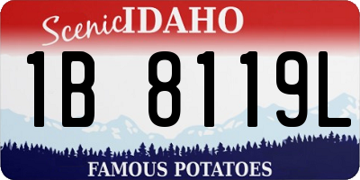 ID license plate 1B8119L