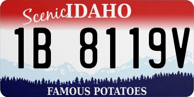 ID license plate 1B8119V
