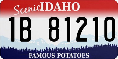 ID license plate 1B8121O