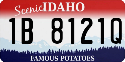 ID license plate 1B8121Q