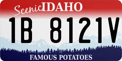 ID license plate 1B8121V