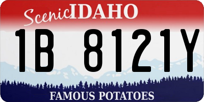 ID license plate 1B8121Y
