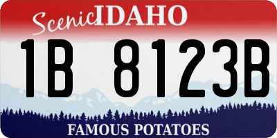 ID license plate 1B8123B
