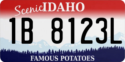 ID license plate 1B8123L