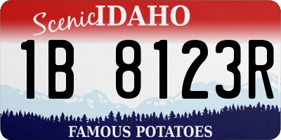 ID license plate 1B8123R