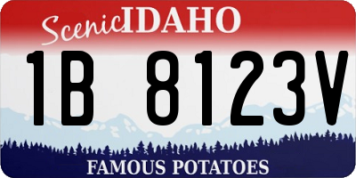 ID license plate 1B8123V