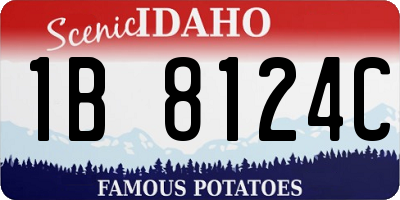 ID license plate 1B8124C