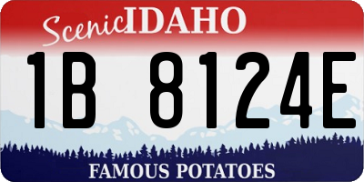 ID license plate 1B8124E