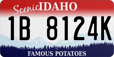 ID license plate 1B8124K