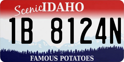 ID license plate 1B8124N
