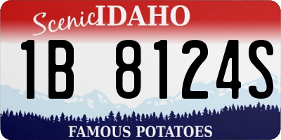 ID license plate 1B8124S