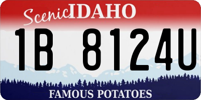 ID license plate 1B8124U