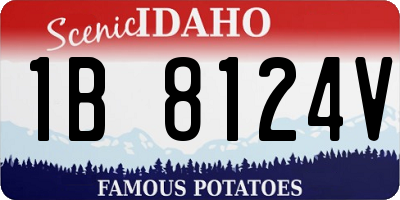 ID license plate 1B8124V