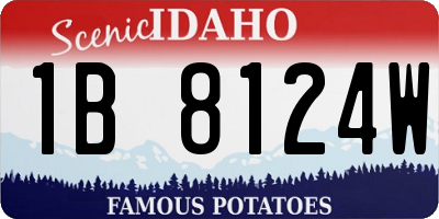 ID license plate 1B8124W