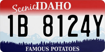 ID license plate 1B8124Y