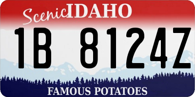 ID license plate 1B8124Z
