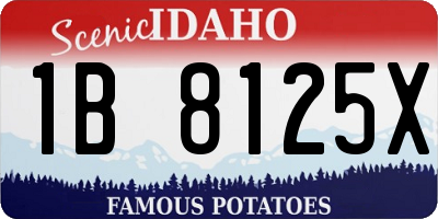 ID license plate 1B8125X