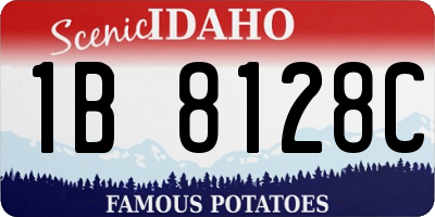 ID license plate 1B8128C