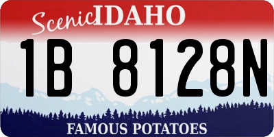 ID license plate 1B8128N
