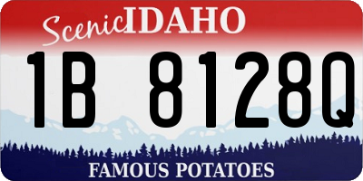 ID license plate 1B8128Q