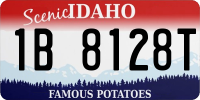 ID license plate 1B8128T