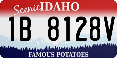 ID license plate 1B8128V