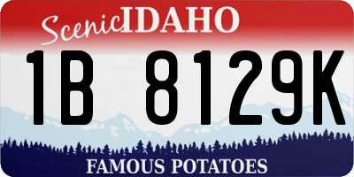 ID license plate 1B8129K