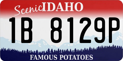 ID license plate 1B8129P