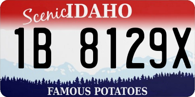 ID license plate 1B8129X