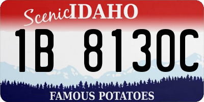 ID license plate 1B8130C