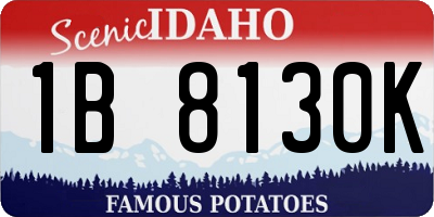 ID license plate 1B8130K
