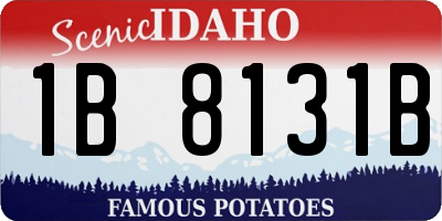ID license plate 1B8131B
