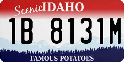 ID license plate 1B8131M